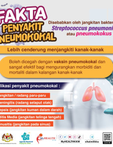 Fakta Penyakit Pneumokokal